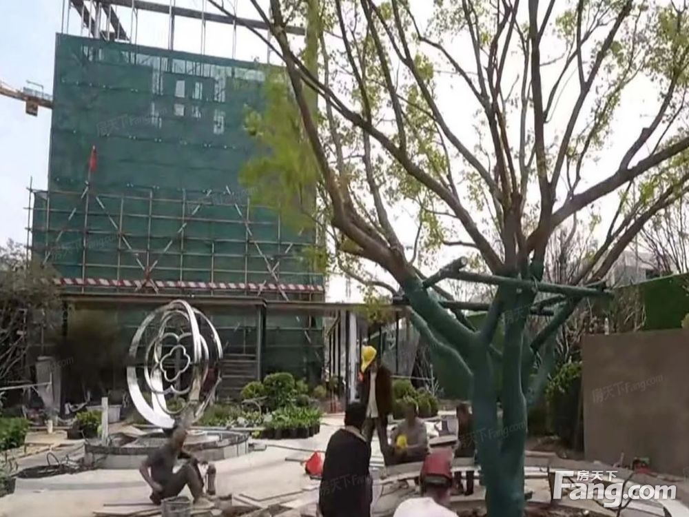 实景图