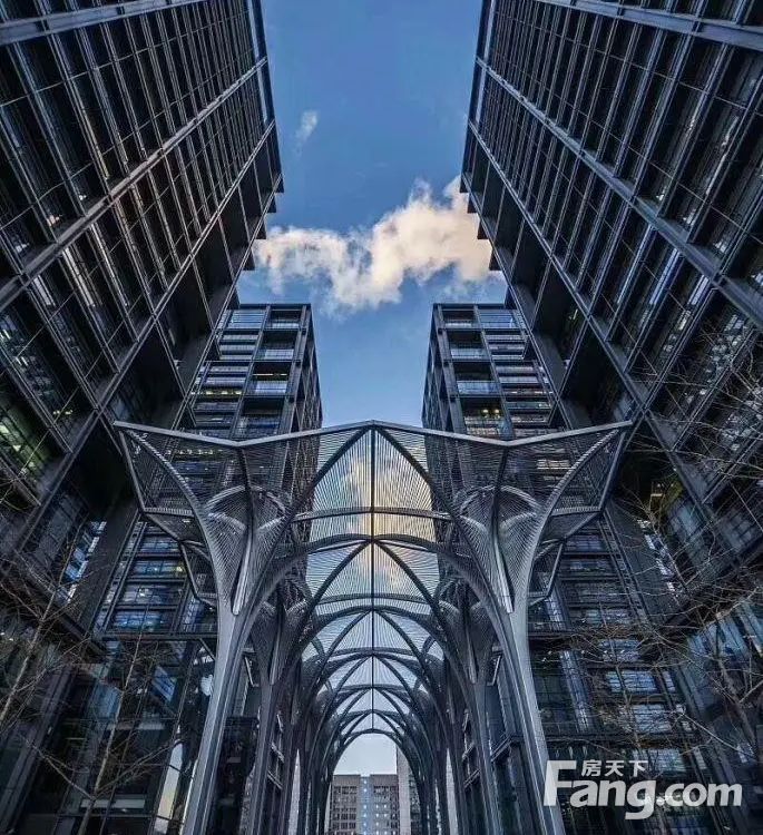 平面图