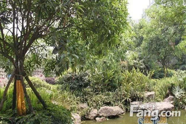 小区相关图