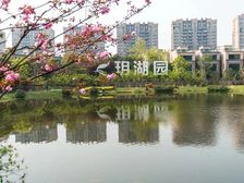 劲爆照母山 一线临湖类独栋别墅 清盘特价 急降300万