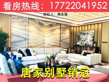 稀缺独栋现楼别墅!珠海唐家【卓越唐家墅】依山傍海财生四时