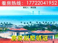 唐家叠墅天花板!【仁恒滨海半岛】打造湾区人居海景新天地!!