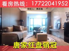 唐家北围销冠盘!【清能岭秀荟】公园旁,珠海北站精装大3房!