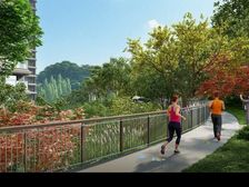 绿城凤起麓鸣江景大平层 270度天幕观景落地窗 价格实惠