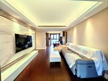 九龙湖,新力的天花板!业主现在着急置换,拎包入住。