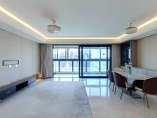 南站品质天花板!豪华装修大横厅送产权车位急售房,近地铁。