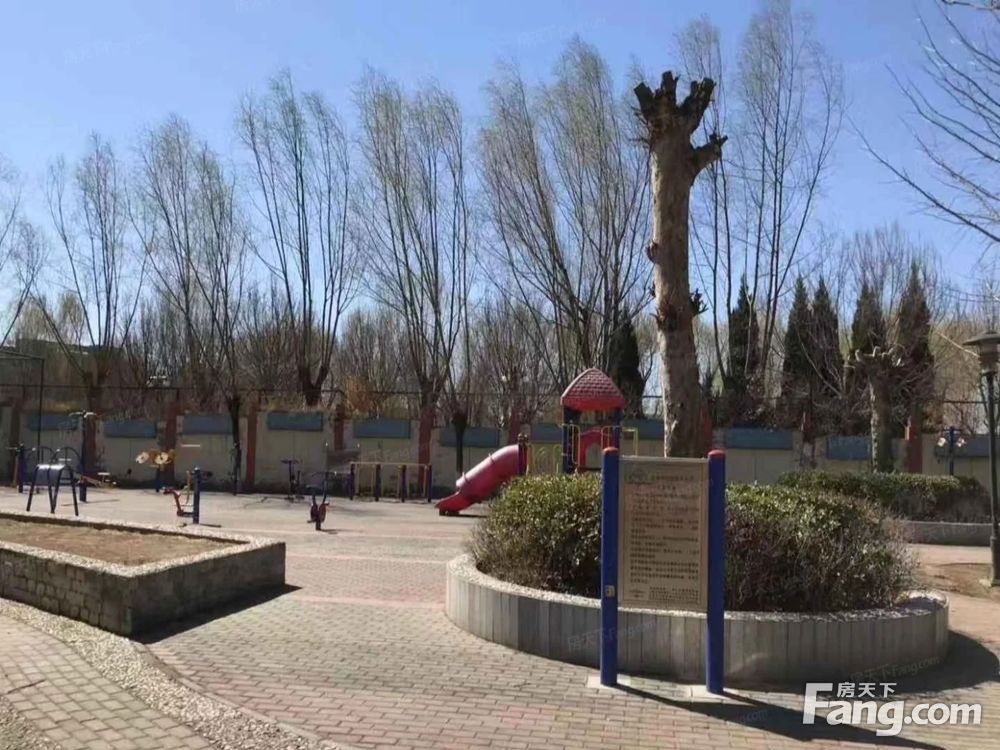 实景图