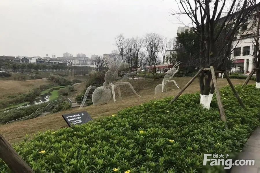 小区相关图