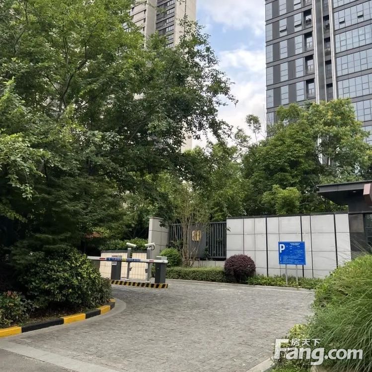实景图