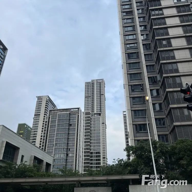 实景图