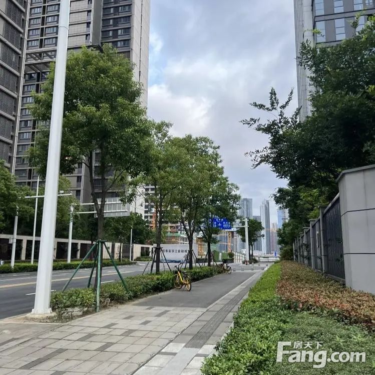 实景图
