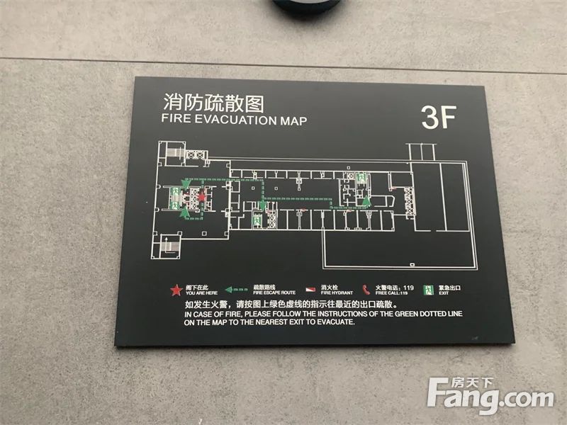 平面图