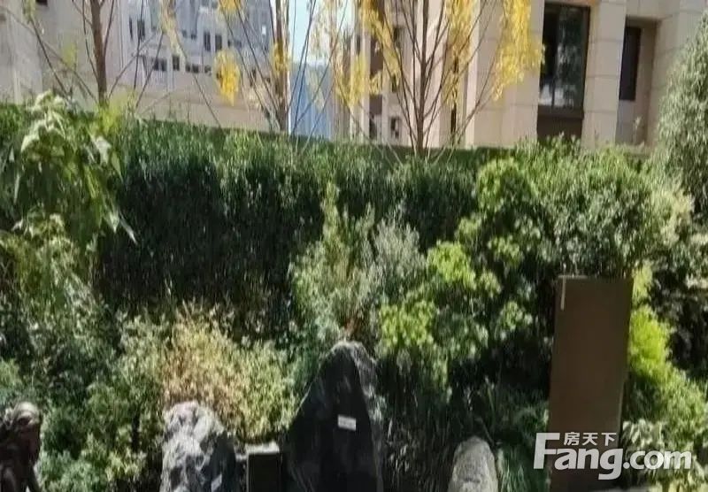 室内图