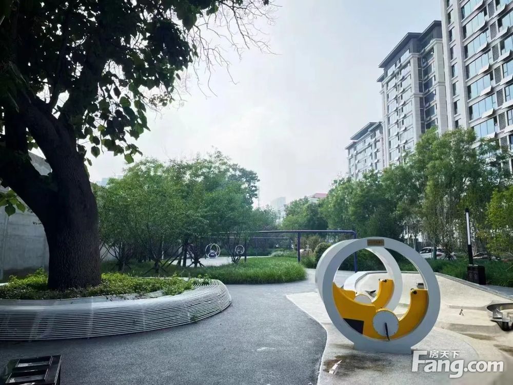 实景图