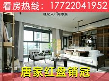 万人围观!唐家北围【正方深悦湾】98平精装大4房海景豪宅!