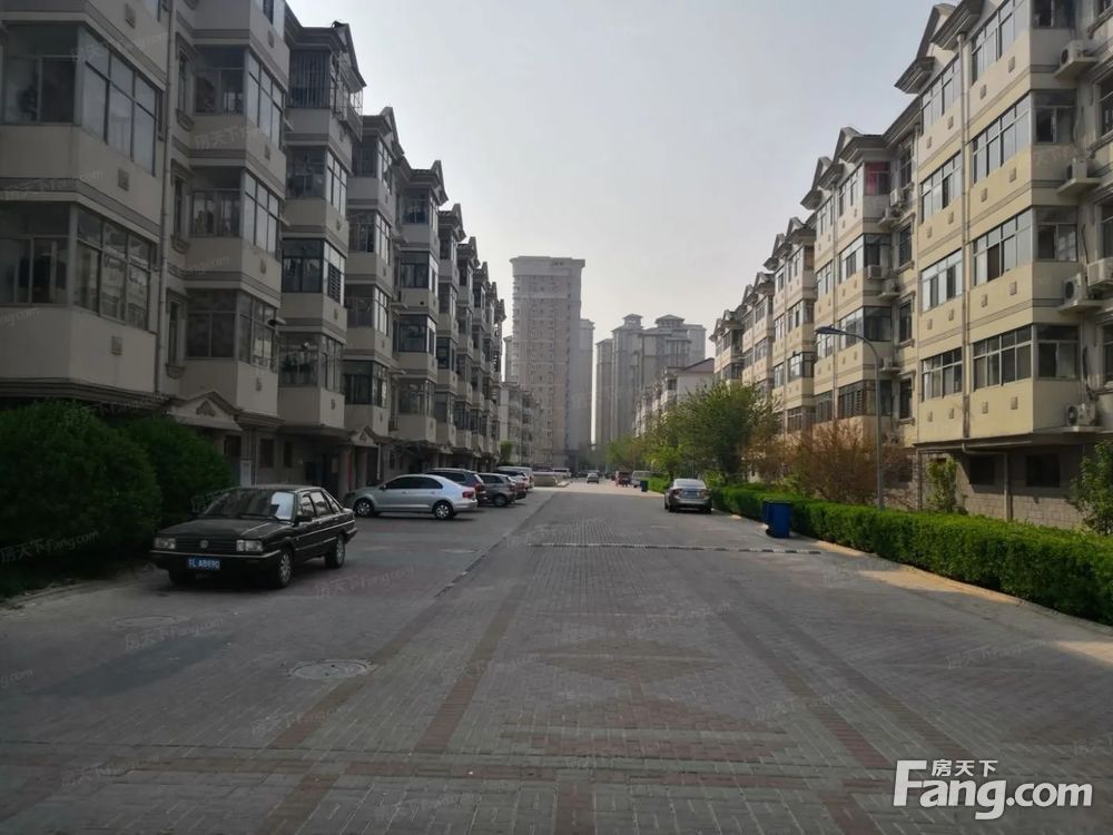 实景图