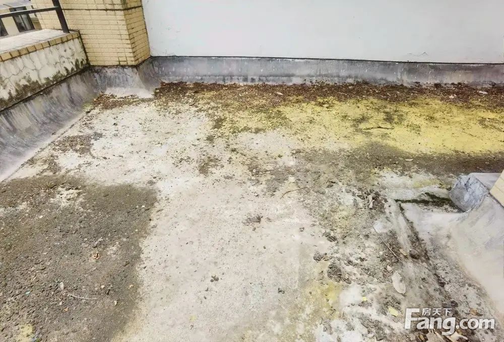 室内图