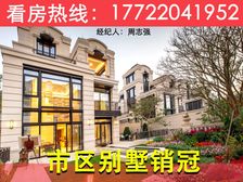 珠海十大豪宅之一!市区板樟山公园(华发山庄)法式独栋别墅现楼