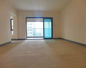 一梯一户,天府一街,花园洋房,板式通透户型,视野好,业主诚售