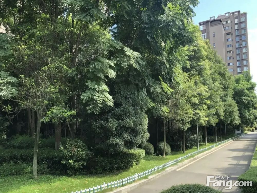 小区相关图