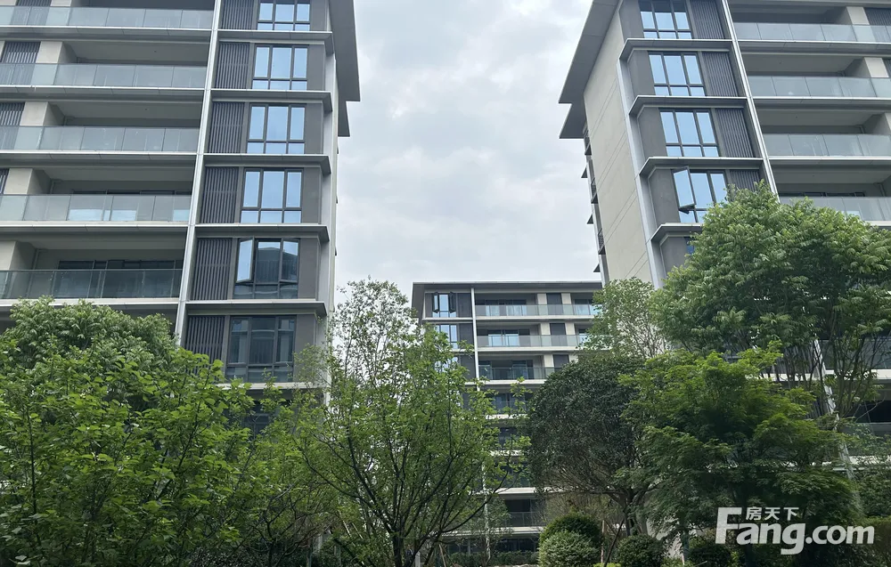 （清盘直降７０万+）中央公园现房，T２板式洋房，７龙珠１外
