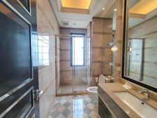 上海星河湾一期 闵行平层标杆 商业配套成熟 楼层好位置好