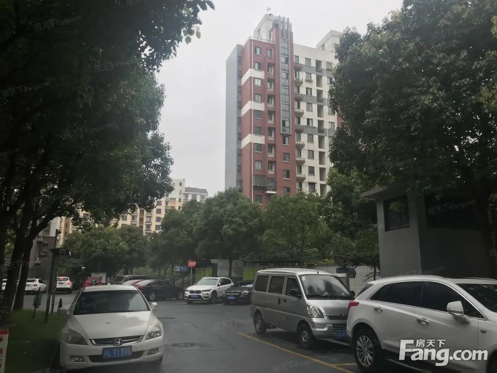 实景图