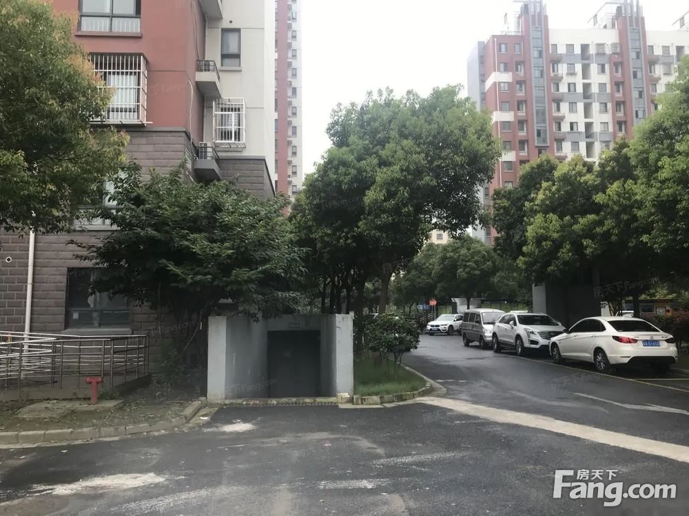 实景图