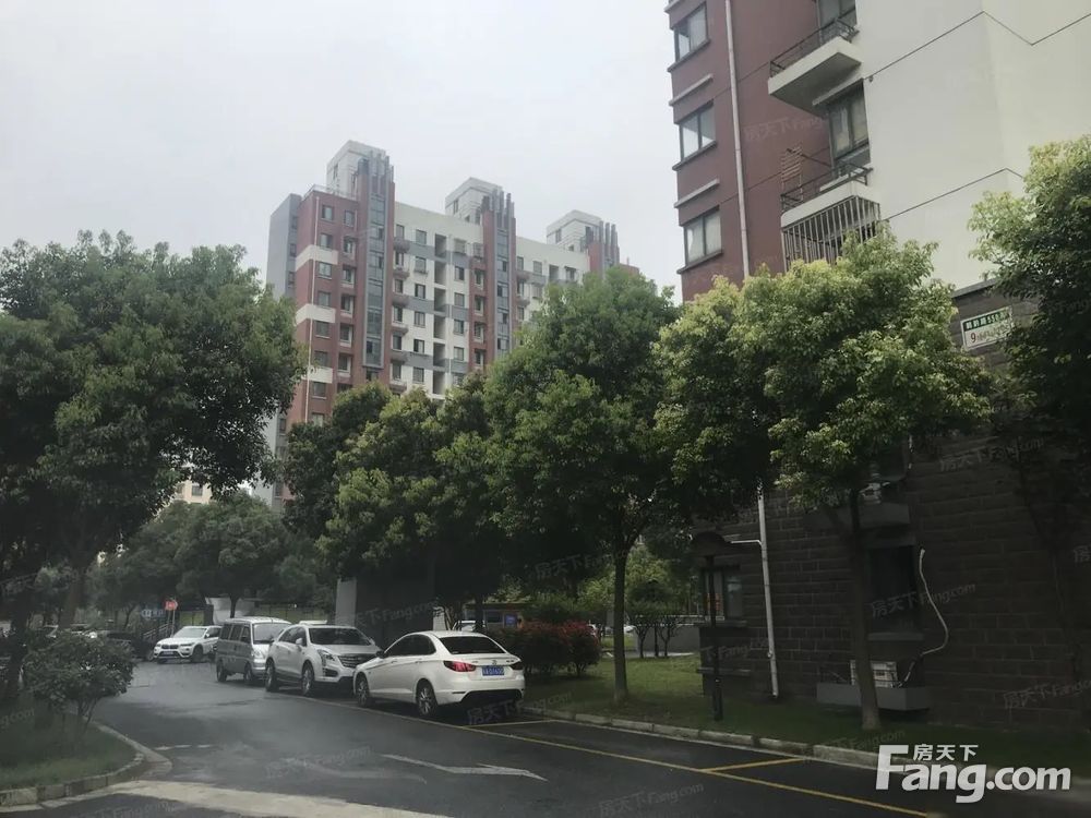 实景图