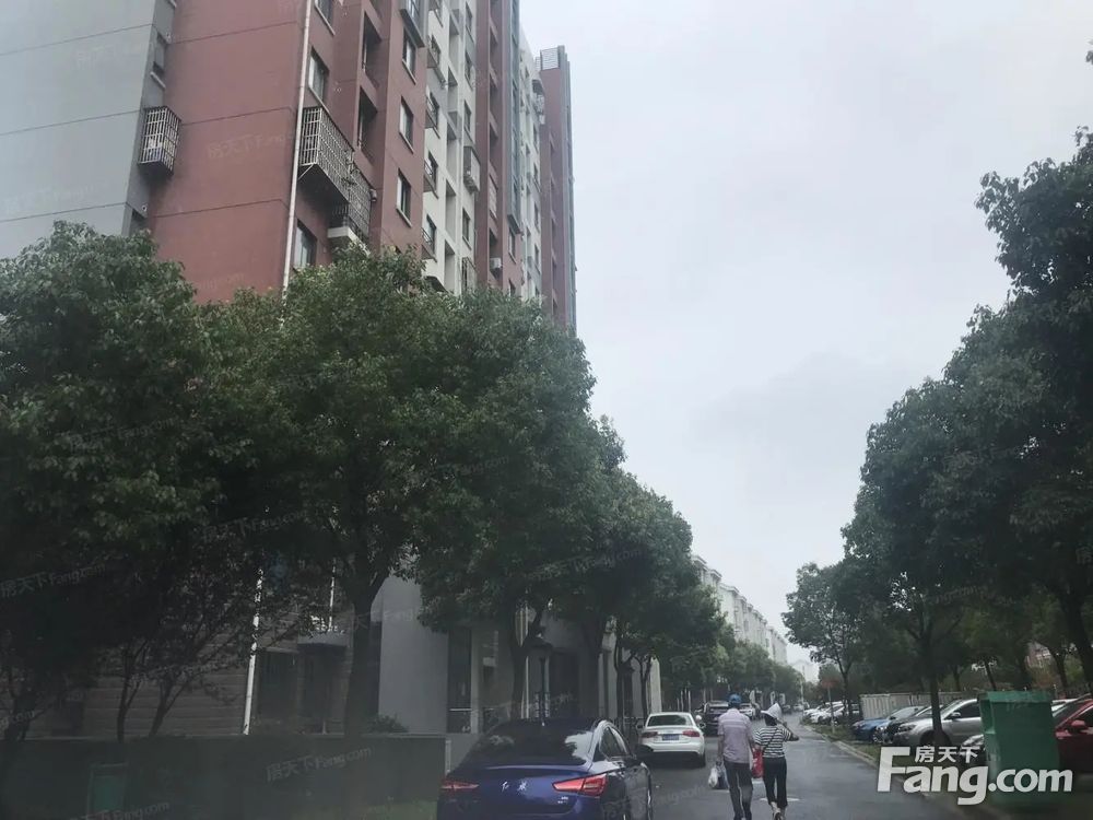 实景图