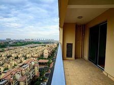 可大刀崇明绿地长岛电梯房南北通透超大阳台风景视野 看中可谈