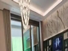 光谷核心 新希望 下叠 超大院子 地下负两层 带采光井