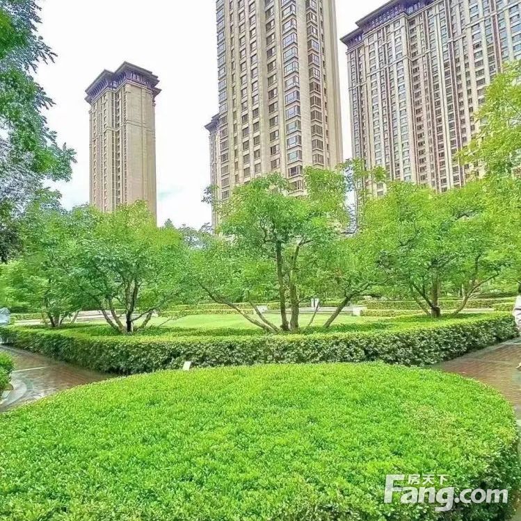 实景图