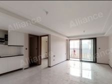 工抵房 滨江板块 万科中南 4开间朝南 电梯洋房 精装未住