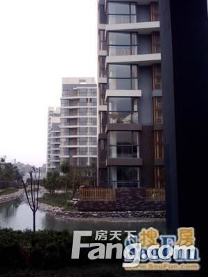 实景图