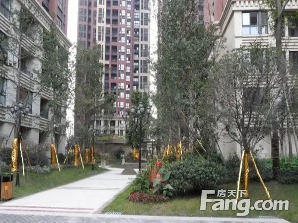 小区相关图