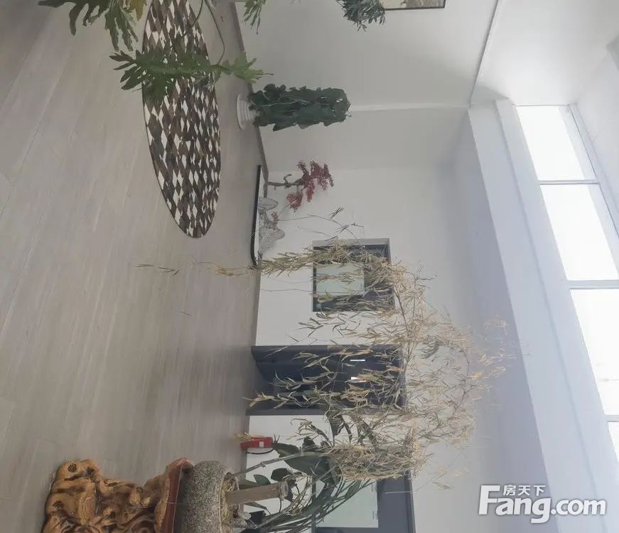 内景图