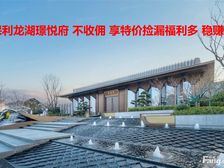 新政补贴至20万 保利龙湖景玥府精装洋房 找我享渠道 捡漏多