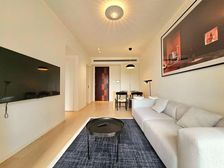 带电梯的大一房一厅 景观房 视野非常好 精装修 可拎包入住