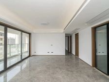 桃花院子 地铁口 大平层 精装修 红梅旁 天宁? 随时看