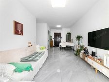 吴南鲁能公馆 三室两厅 中间楼层 装修保养良好