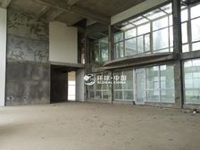 保真!碧水庄园 龙头号位置 临湖毛坯独栋