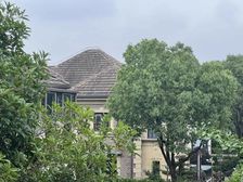 莱茵美墅 503平4居 东向毛坯 着急出售