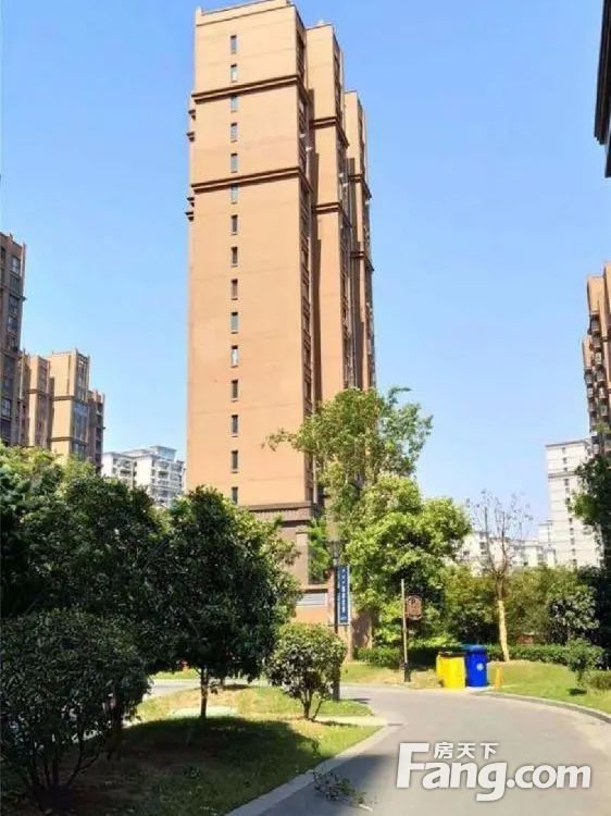 实景图