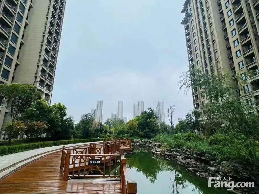 实景图