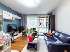 ,房主急售 精装修安亭新镇兴苑朝南