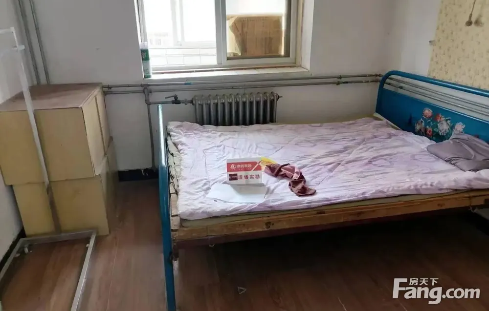 幸福里 直管公产独用面积大 有俩间自建 投资的来
