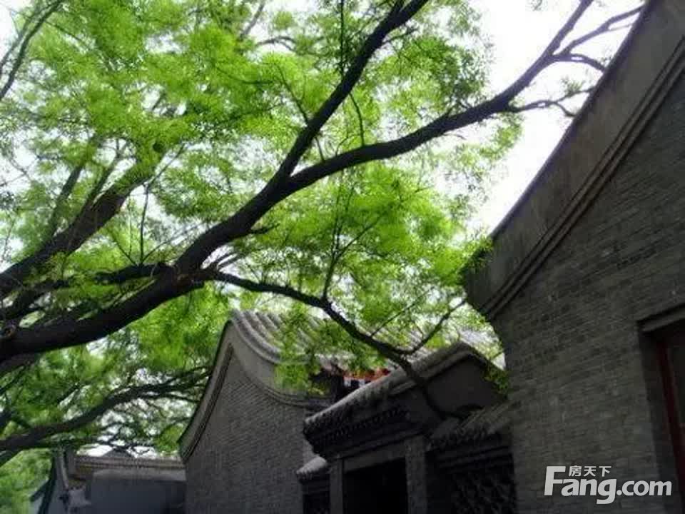 实景图