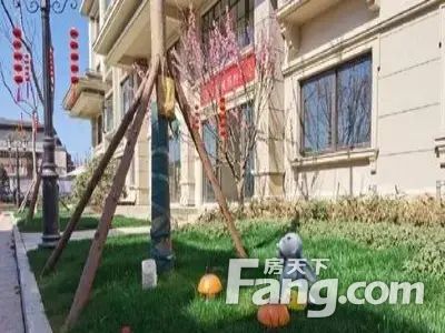 小区相关图