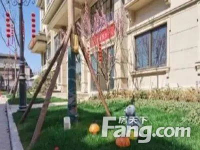 小区相关图